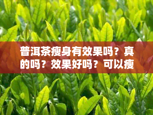 普洱茶瘦身有效果吗？真的吗？效果好吗？可以瘦身吗？