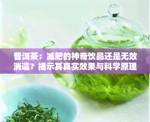 普洱茶：减肥的神奇饮品还是无效消遣？揭示其真实效果与科学原理