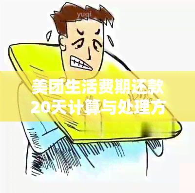 美团生活费期还款20天计算与处理方式