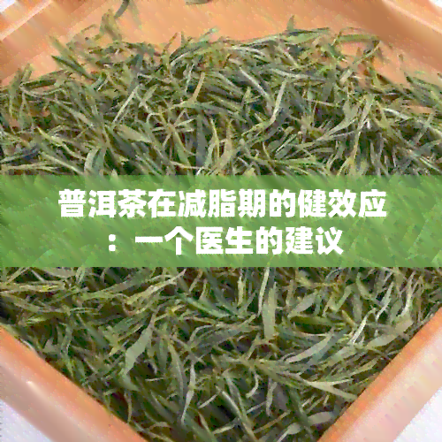 普洱茶在减脂期的健效应：一个医生的建议