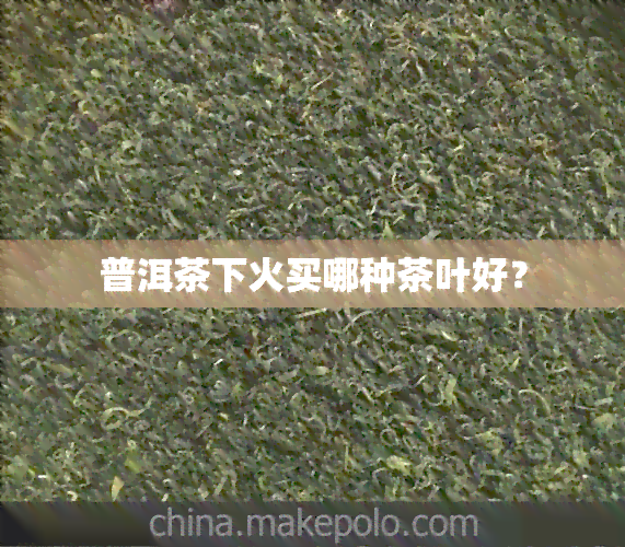 普洱茶下火买哪种茶叶好？