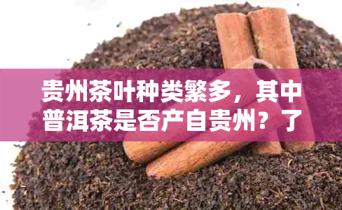 贵州茶叶种类繁多，其中普洱茶是否产自贵州？了解贵州普洱茶的产地和品质