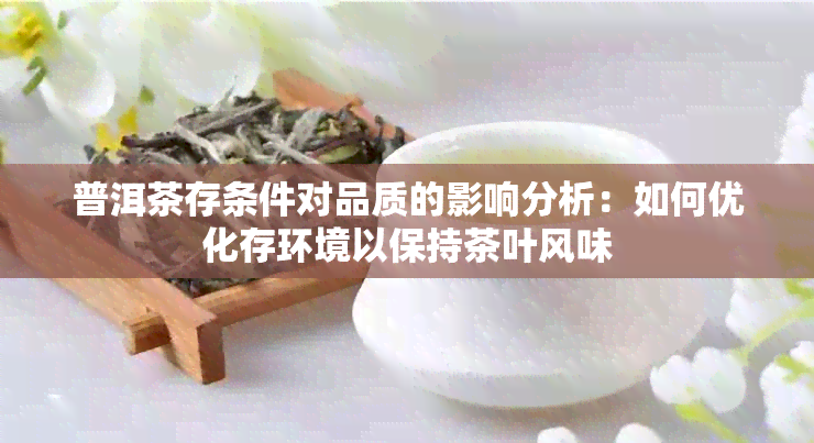 普洱茶存条件对品质的影响分析：如何优化存环境以保持茶叶风味