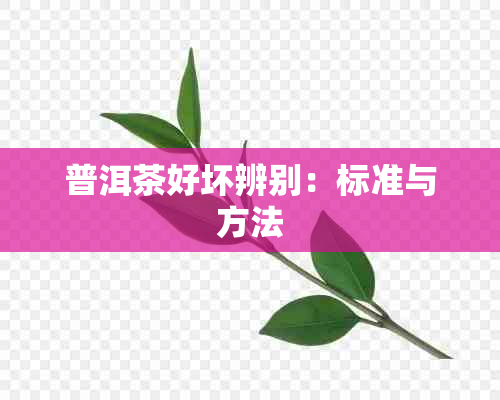 普洱茶好坏辨别：标准与方法