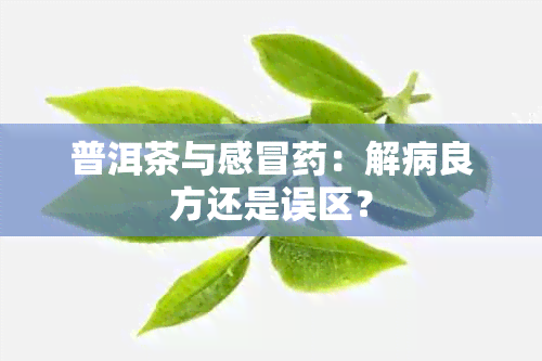 普洱茶与感冒：解病良方还是误区？