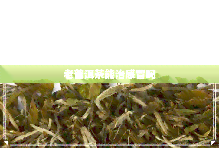 老普洱茶能治感冒吗