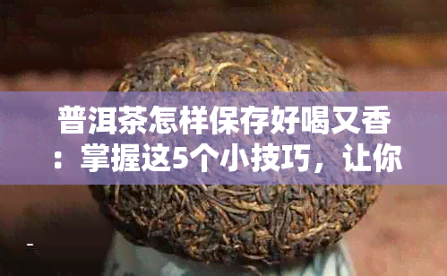 普洱茶怎样保存好喝又香：掌握这5个小技巧，让你的普洱茶更香甜