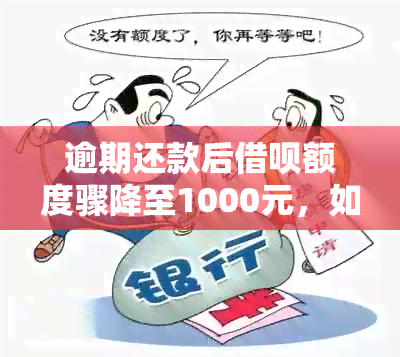 逾期还款后借呗额度骤降至1000元，如何迅速恢复？