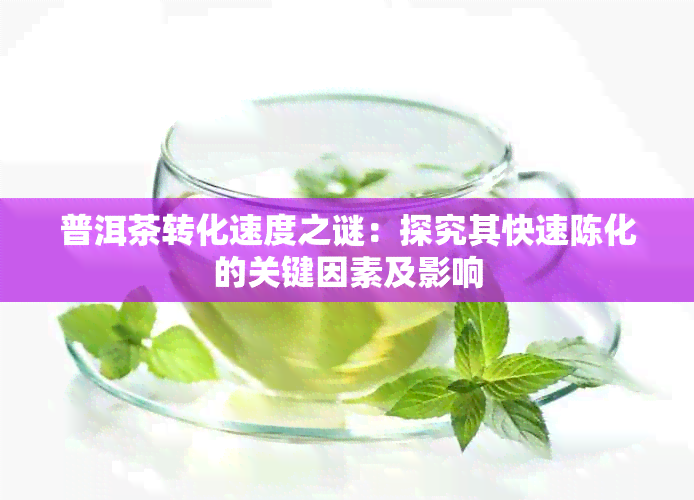 普洱茶转化速度之谜：探究其快速陈化的关键因素及影响