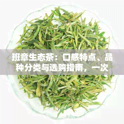 班章生态茶：口感特点、品种分类与选购指南，一次搞定！