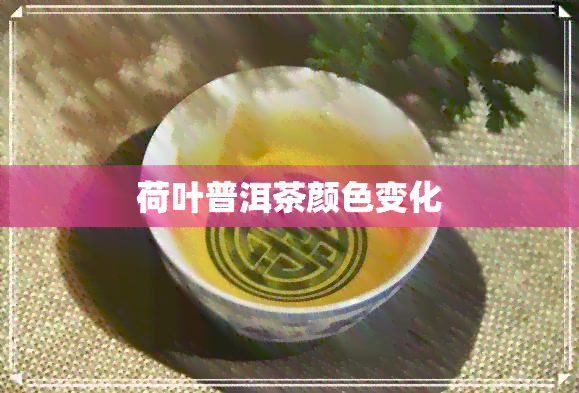 荷叶普洱茶颜色变化