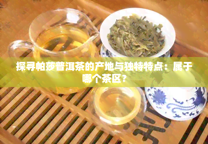 探寻帕莎普洱茶的产地与独特特点：属于哪个茶区？