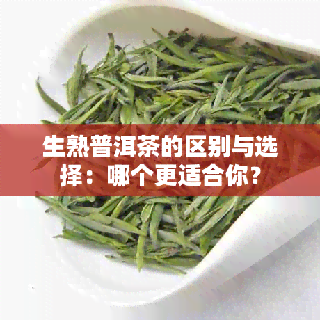 生熟普洱茶的区别与选择：哪个更适合你？