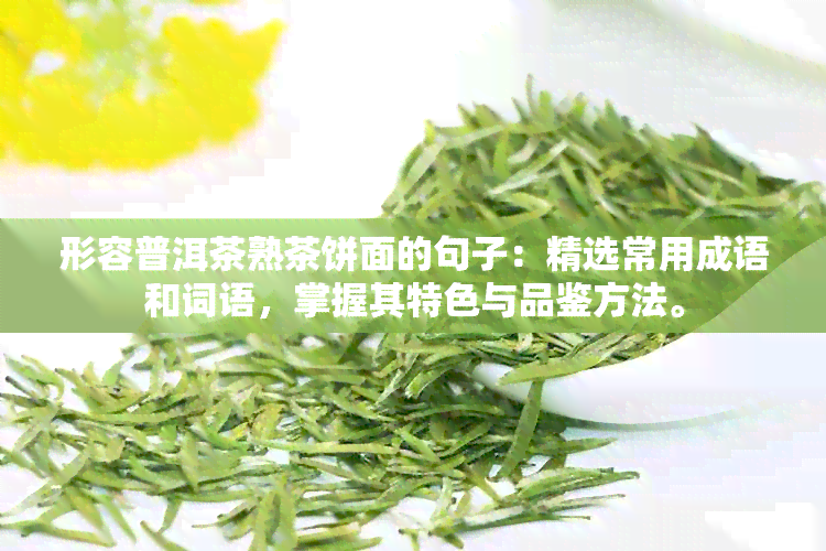 形容普洱茶熟茶饼面的句子：精选常用成语和词语，掌握其特色与品鉴方法。