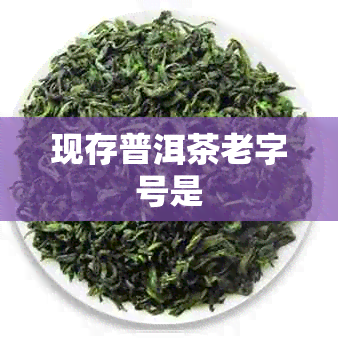 现存普洱茶老字号是