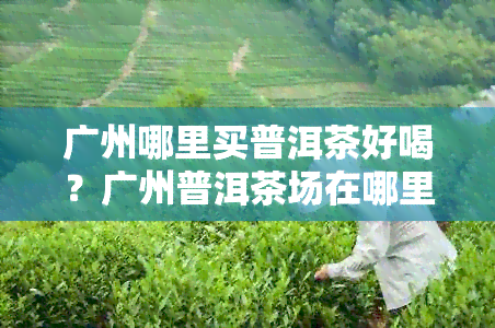 广州哪里买普洱茶好喝？广州普洱茶场在哪里？