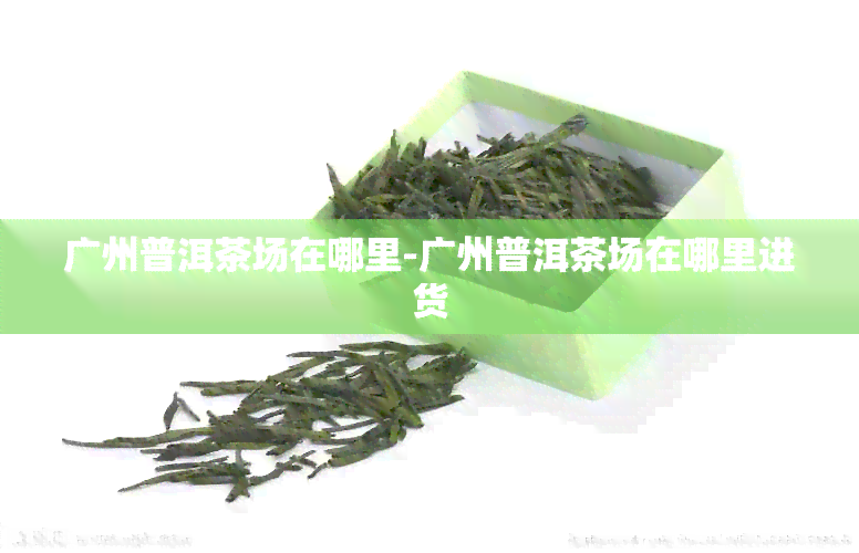 广州普洱茶场在哪里-广州普洱茶场在哪里进货