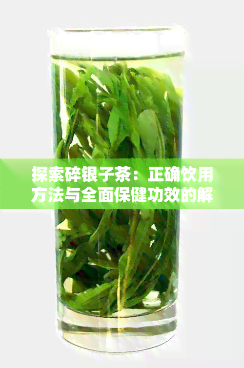 探索碎银子茶：正确饮用方法与全面保健功效的解析