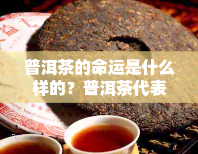 普洱茶的命运是什么样的？普洱茶代表什么意义？