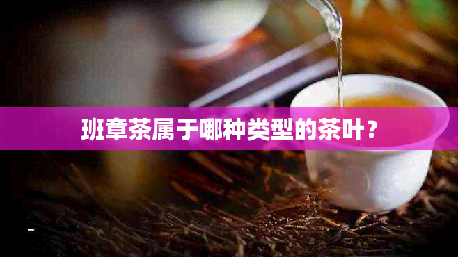 班章茶属于哪种类型的茶叶？