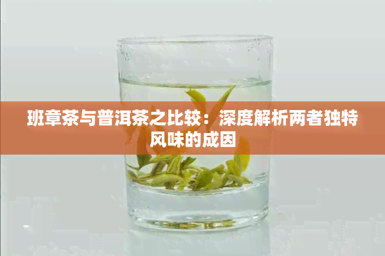 班章茶与普洱茶之比较：深度解析两者独特风味的成因