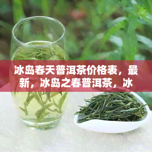 冰岛春天普洱茶价格表，最新，冰岛之春普洱茶，冰岛早春普洱茶价格