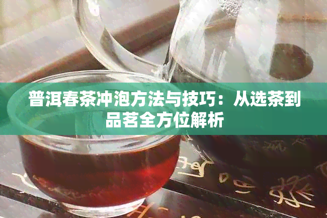 普洱春茶冲泡方法与技巧：从选茶到品茗全方位解析