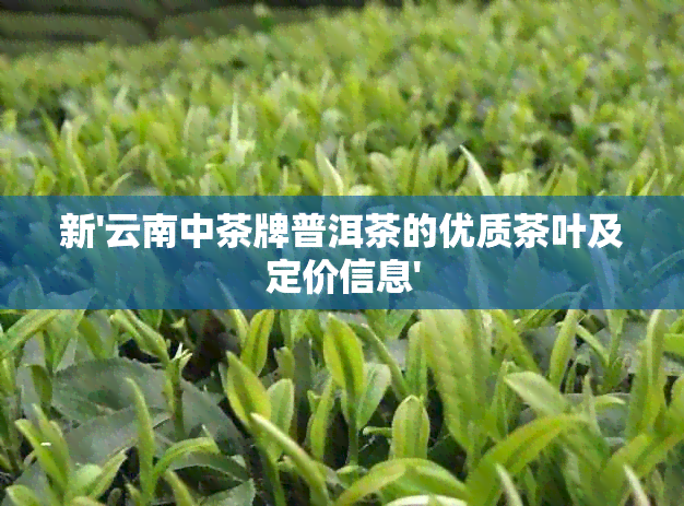 新'云南中茶牌普洱茶的优质茶叶及定价信息'