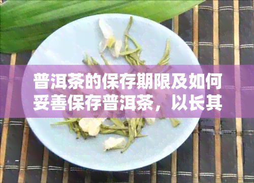 普洱茶的保存期限及如何妥善保存普洱茶，以长其品质和陈化效果