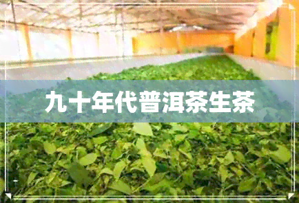 九十年代普洱茶生茶