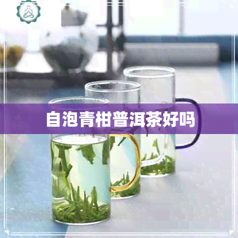 自泡青柑普洱茶好吗