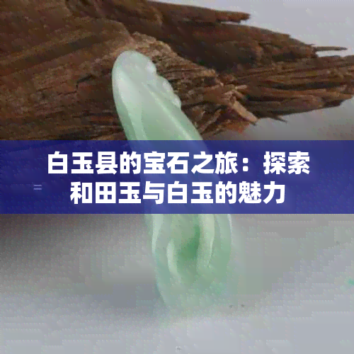 白玉县的宝石之旅：探索和田玉与白玉的魅力