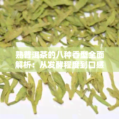 熟普洱茶的八种香型全面解析：从发酵程度到口感特点一应俱全