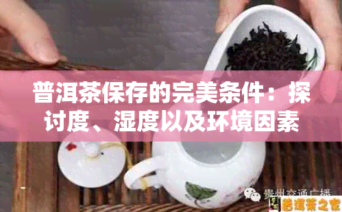 普洱茶保存的完美条件：探讨度、湿度以及环境因素对其品质的影响