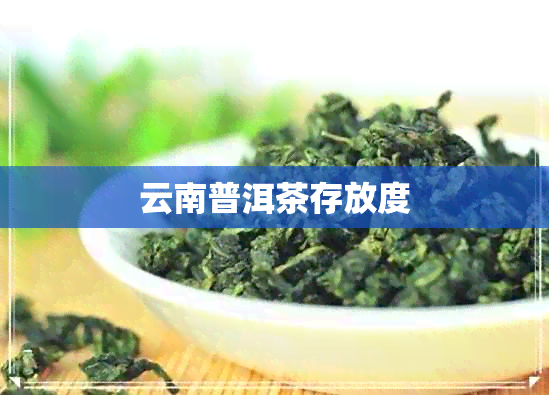 云南普洱茶存放度