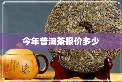 今年普洱茶报价多少