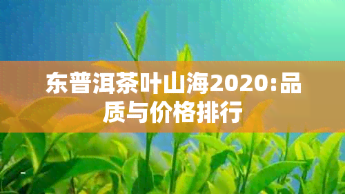 东普洱茶叶山海2020:品质与价格排行