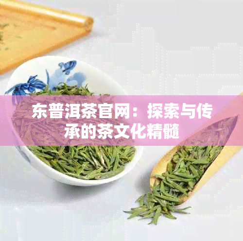 东普洱茶官网：探索与传承的茶文化精髓