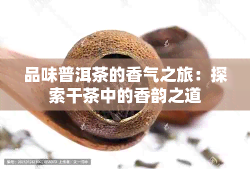 品味普洱茶的香气之旅：探索干茶中的香韵之道