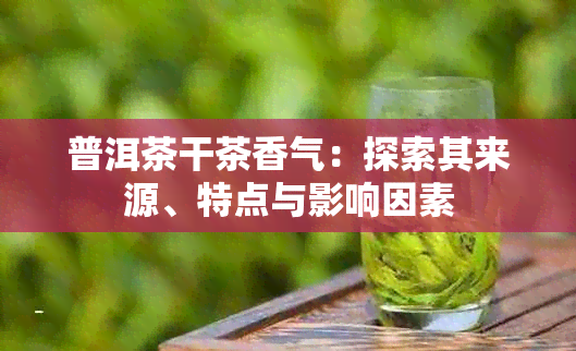 普洱茶干茶香气：探索其来源、特点与影响因素