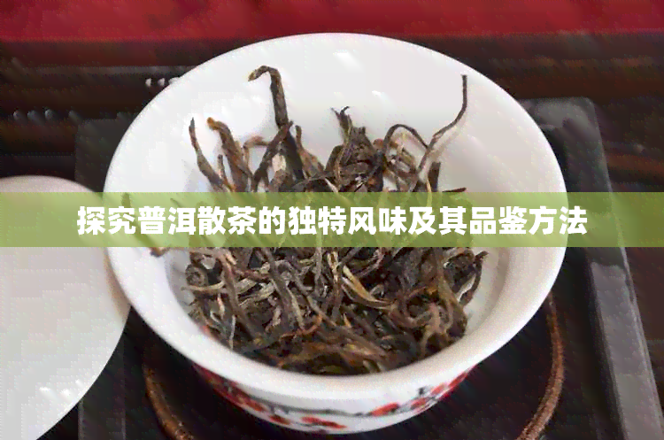 探究普洱散茶的独特风味及其品鉴方法