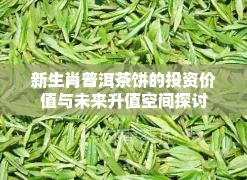 新生肖普洱茶饼的投资价值与未来升值空间探讨