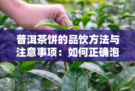 普洱茶饼的品饮方法与注意事项：如何正确泡制和品尝普洱茶饼？