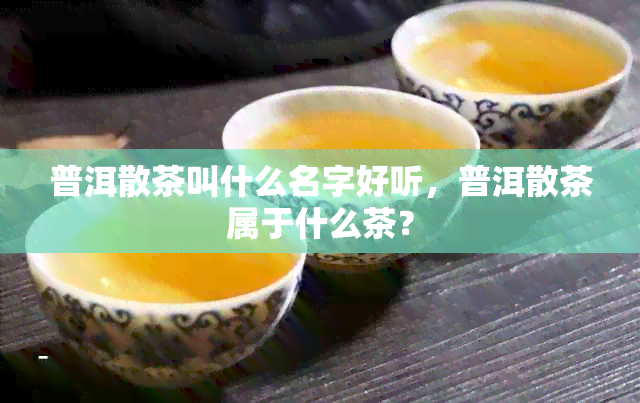 普洱散茶叫什么名字好听，普洱散茶属于什么茶？