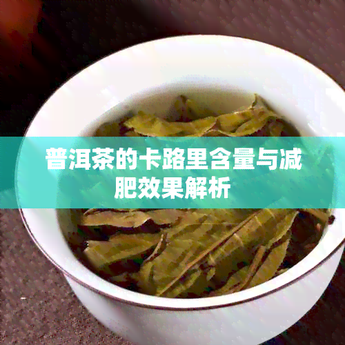 普洱茶的卡路里含量与减肥效果解析