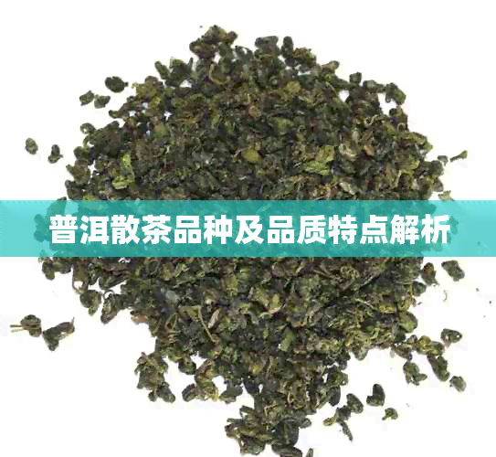 普洱散茶品种及品质特点解析