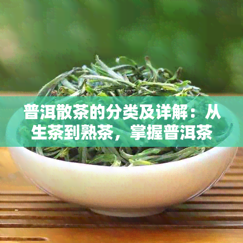 普洱散茶的分类及详解：从生茶到熟茶，掌握普洱茶的六大类型