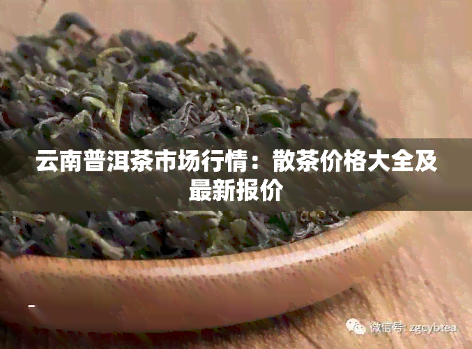 云南普洱茶市场行情：散茶价格大全及最新报价