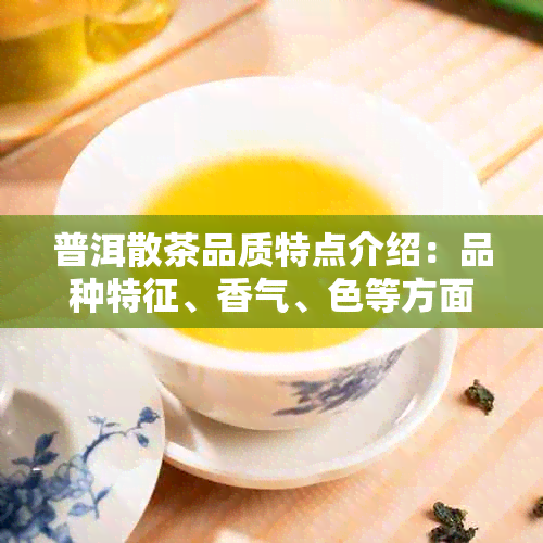 普洱散茶品质特点介绍：品种特征、香气、色等方面的详细介绍。