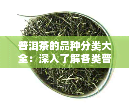 普洱茶的品种分类大全：深入了解各类普洱茶的特点与价值